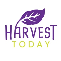 Harvest Today Logo